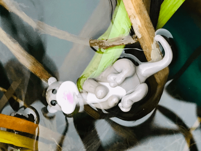 Lampwork vidra